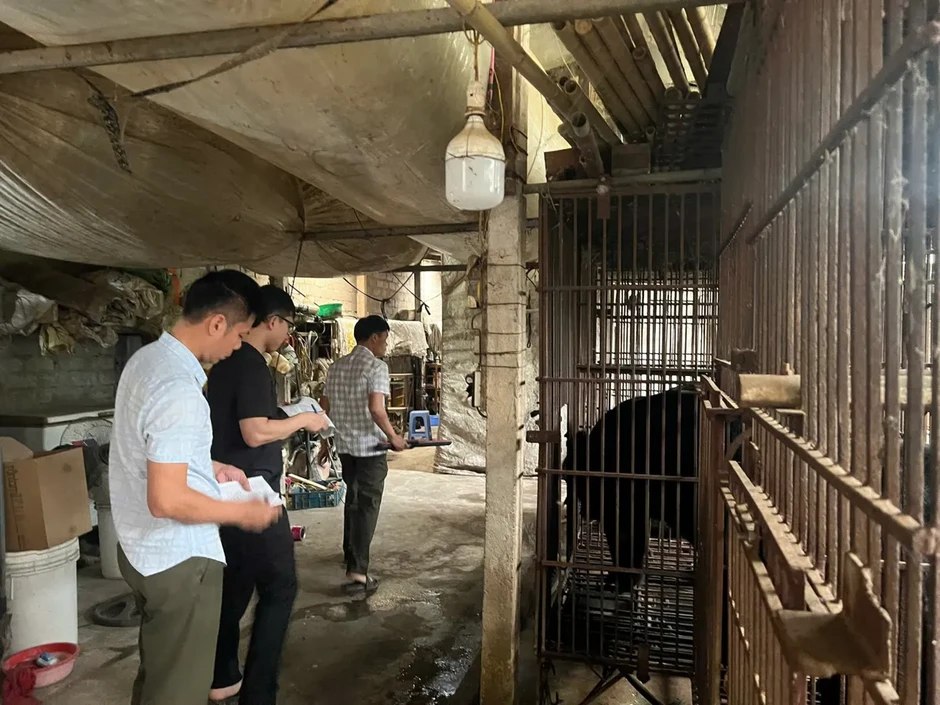Hà Nội vận động người dân chuyển giao gấu tới các trung tâm cứu hộ Hà Nội vận động người dân chuyển giao gấu tới các trung tâm cứu hộ