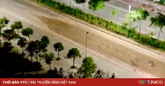 Hà Nội: Xử phạt tài xế xe tải làm rơi vãi bùn đất trên đường Võ Chí Công
