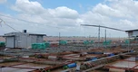 Hai cha con bị điện giật rơi xuống sông mất tích