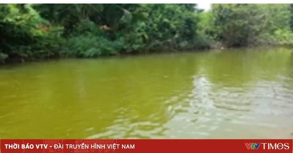 Hai chị em tử vong dưới ao nước gần nhà hàng xóm ở Nghệ An