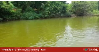 Hai chị em tử vong dưới ao nước gần nhà hàng xóm ở Nghệ An