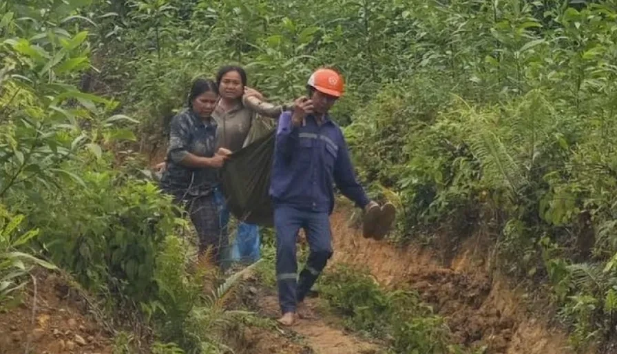 Hai người ở Quảng Ngãi bị thương nặng do sự cố phóng điện đường dây 110kV
