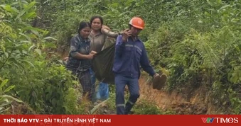Hai người ở Quảng Ngãi bị thương nặng do sự cố phóng điện đường dây 110kV