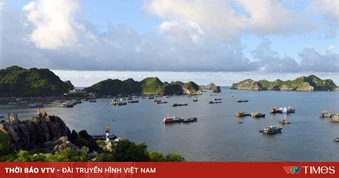 Hải Phòng chỉ đạo bảo đảm an toàn tuyệt đối cho du khách đến Cát Bà