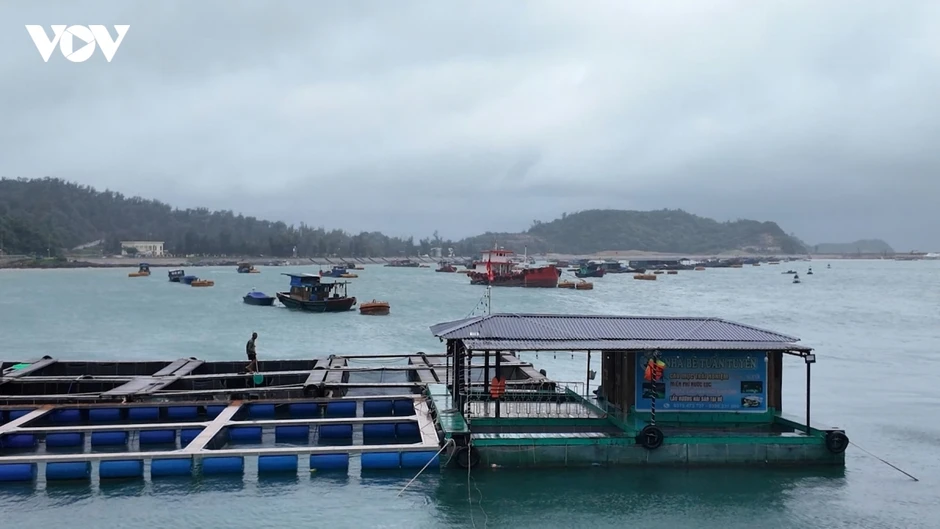 Hải Phòng, Quảng Ninh khẩn trương triển khai ứng phó bão số 4 Hải Phòng, Quảng Ninh khẩn trương triển khai ứng phó bão số 4