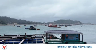 Hải Phòng, Quảng Ninh khẩn trương triển khai ứng phó bão số 4