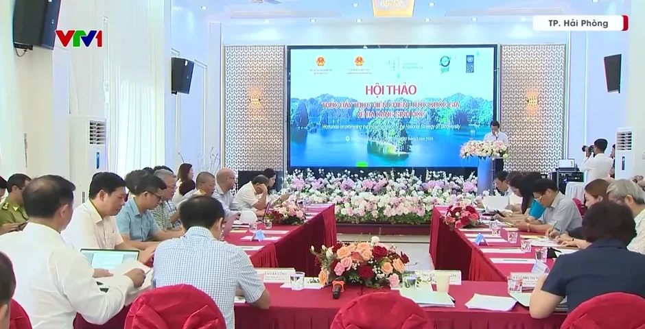 Hải Phòng tổ chức nhiều hoạt động thiết thực hưởng ứng Ngày Quốc tế Đa dạng sinh học Hải Phòng tổ chức nhiều hoạt động thiết thực hưởng ứng Ngày Quốc tế Đa dạng sinh học