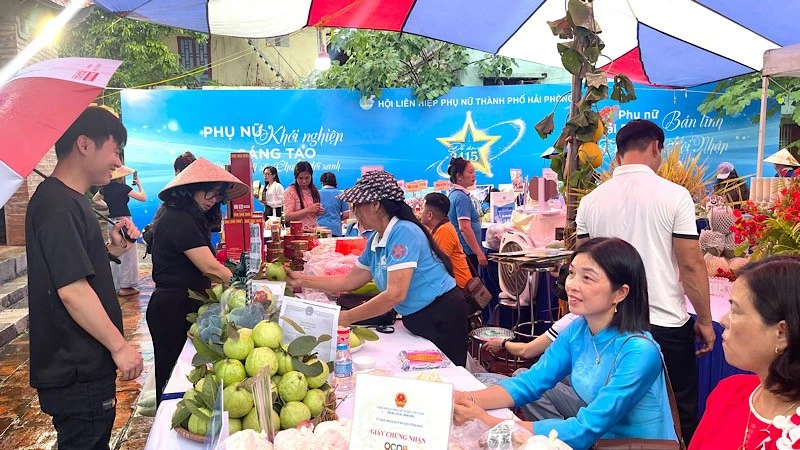 Hải Phòng: Triển khai Đề án hỗ trợ phụ nữ khởi nghiệp giai đoạn 2026-2035 Hải Phòng: Triển khai Đề án hỗ trợ phụ nữ khởi nghiệp giai đoạn 2026-2035