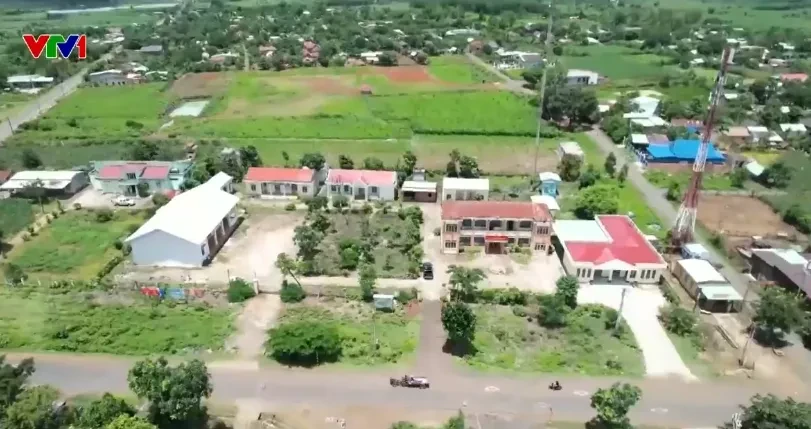 Hàng cây hơn 20 năm tuổi bị cưa hạ và khoảng trống trong quản lý tài sản công Hàng cây hơn 20 năm tuổi bị cưa hạ và khoảng trống trong quản lý tài sản công
