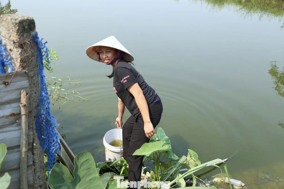 Hàng nghìn người dân Nghệ An phải đi xin nước mỗi ngày Hàng nghìn người dân Nghệ An phải đi xin nước mỗi ngày