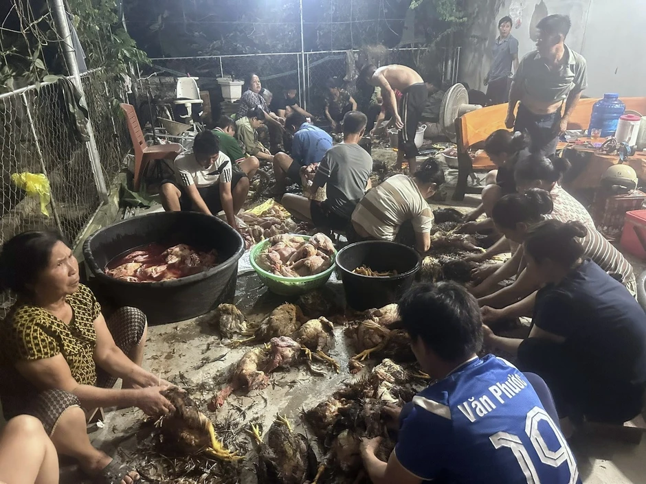Hàng trăm con gà chết ngạt, bà con kéo đến mua ủng hộ Hàng trăm con gà chết ngạt, bà con kéo đến mua ủng hộ