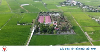 Hàng trăm hộ dân bức xúc vì mùi hôi từ trại lợn gần khu dân cư tại Thanh Hóa