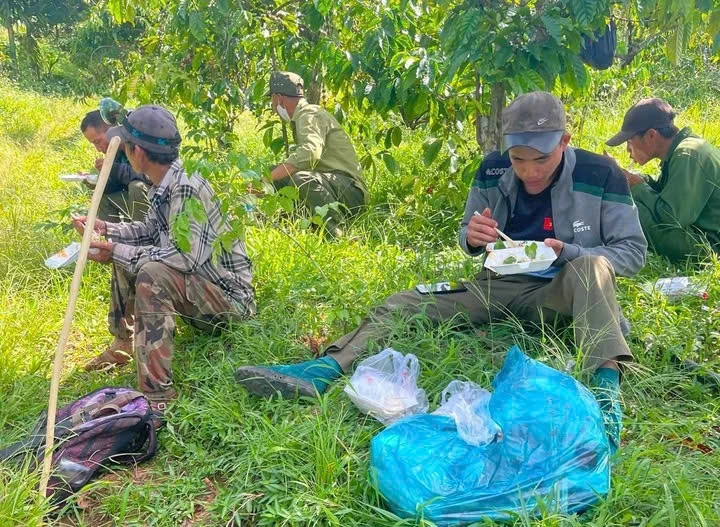 Hàng trăm người cùng chó nghiệp vụ tìm kiếm thiếu niên mất tích 5 ngày ở Đắk Lắk Hàng trăm người cùng chó nghiệp vụ tìm kiếm thiếu niên mất tích 5 ngày ở Đắk Lắk