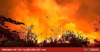 Hàng trăm người khống chế cháy lớn bãi cỏ ở TP Hồ Chí Minh