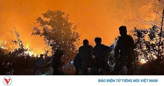 Hàng trăm người xuyên đêm dập lửa cứu rừng ở Nghệ An
