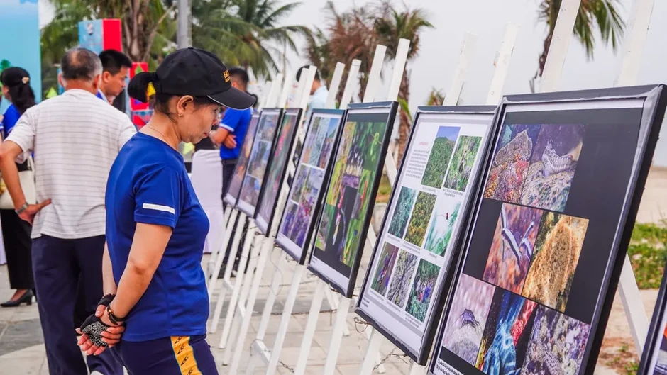 Hàng trăm tình nguyện viên chung tay làm sạch bờ biển Đà Nẵng Hàng trăm tình nguyện viên chung tay làm sạch bờ biển Đà Nẵng