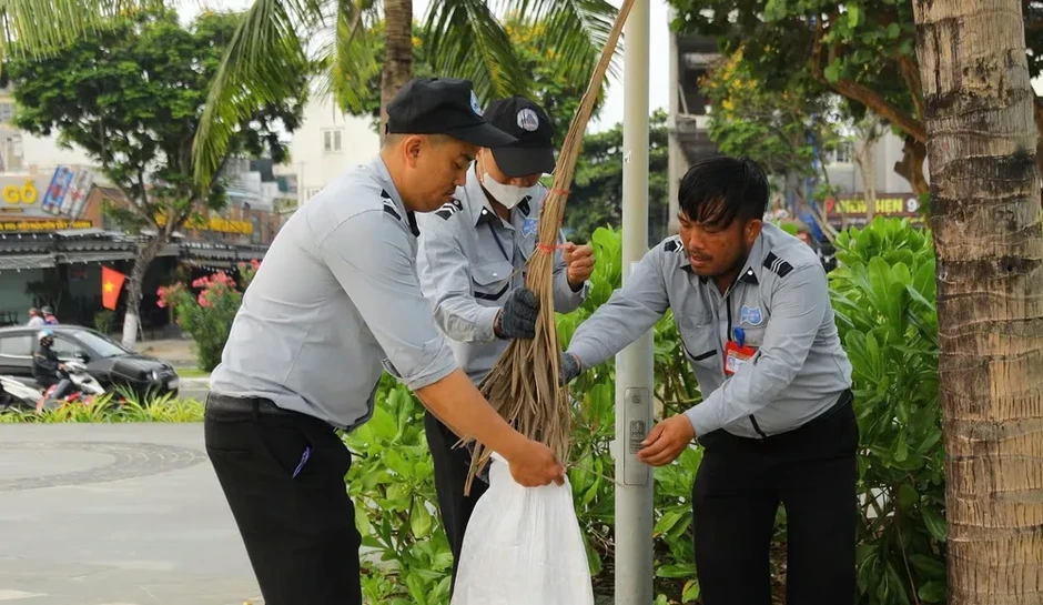 Hàng trăm tình nguyện viên chung tay làm sạch bờ biển Đà Nẵng Hàng trăm tình nguyện viên chung tay làm sạch bờ biển Đà Nẵng