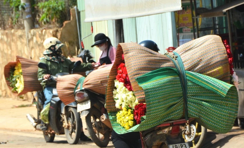 Hành trình lập nghiệp của những người con xa xứ Hành trình lập nghiệp của những người con xa xứ