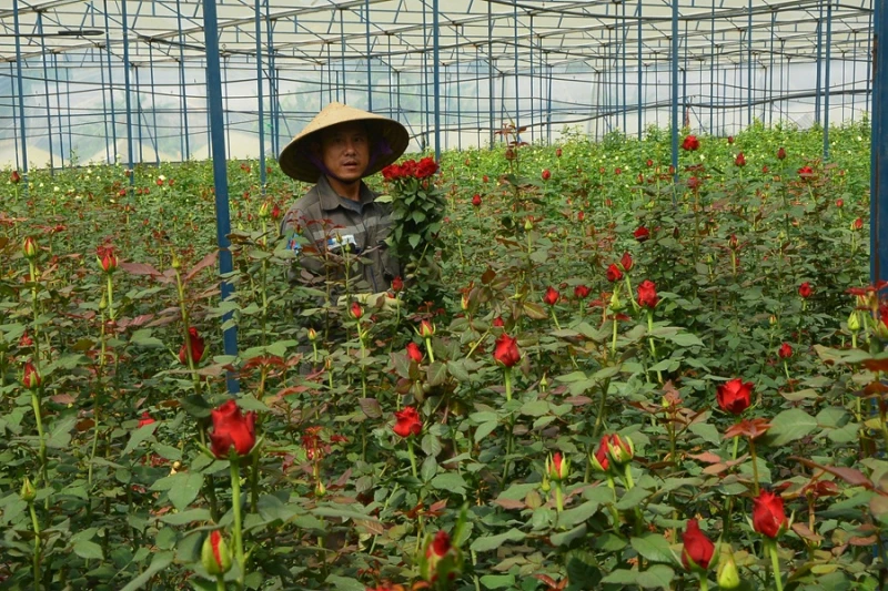 Hành trình lập nghiệp của những người con xa xứ Hành trình lập nghiệp của những người con xa xứ