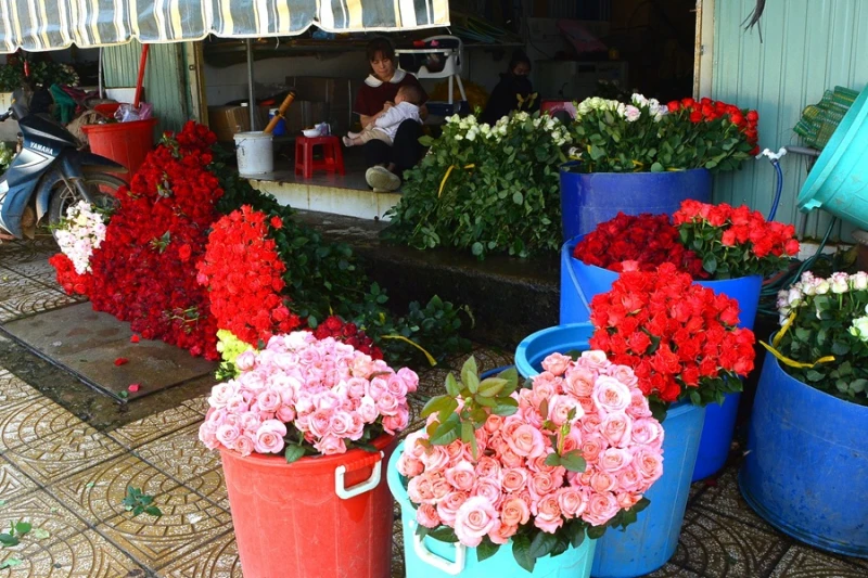 Hành trình lập nghiệp của những người con xa xứ Hành trình lập nghiệp của những người con xa xứ