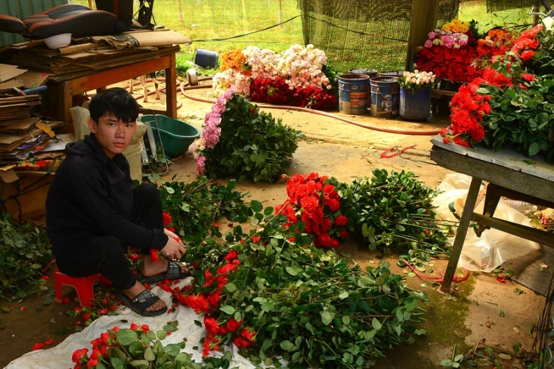 Hành trình lập nghiệp của những người con xa xứ Hành trình lập nghiệp của những người con xa xứ