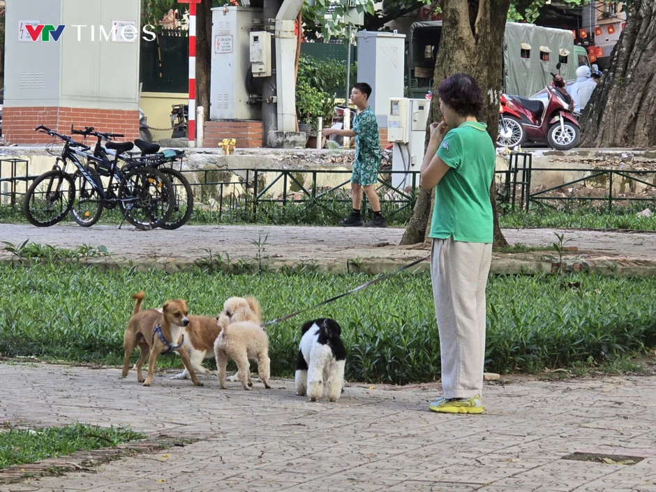 Hành vi nuôi chó không rọ mõm: Vừa thiếu văn minh, vừa vi phạm pháp luật Hành vi nuôi chó không rọ mõm: Vừa thiếu văn minh, vừa vi phạm pháp luật