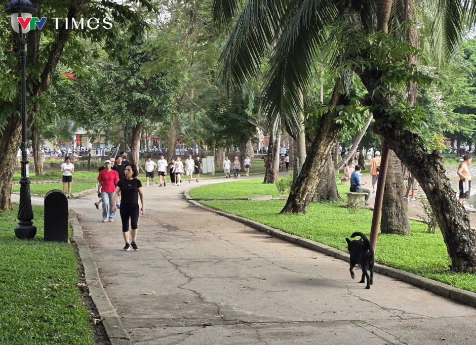 Hành vi nuôi chó không rọ mõm: Vừa thiếu văn minh, vừa vi phạm pháp luật Hành vi nuôi chó không rọ mõm: Vừa thiếu văn minh, vừa vi phạm pháp luật