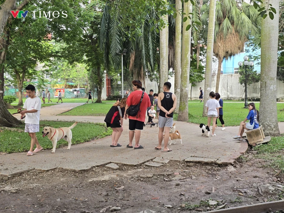 Hành vi nuôi chó không rọ mõm: Vừa thiếu văn minh, vừa vi phạm pháp luật Hành vi nuôi chó không rọ mõm: Vừa thiếu văn minh, vừa vi phạm pháp luật