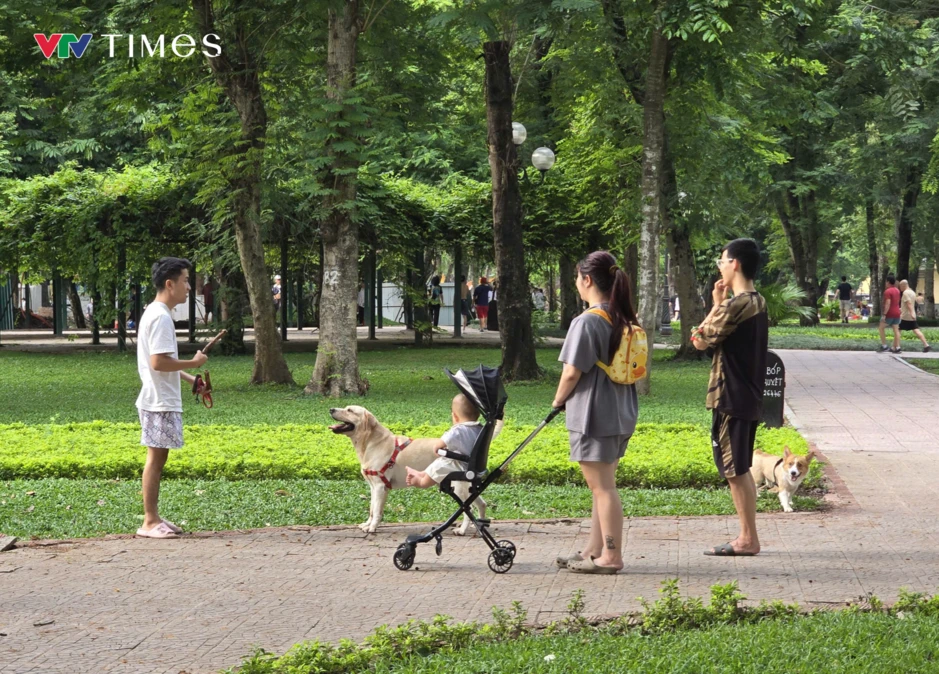 Hành vi nuôi chó không rọ mõm: Vừa thiếu văn minh, vừa vi phạm pháp luật Hành vi nuôi chó không rọ mõm: Vừa thiếu văn minh, vừa vi phạm pháp luật