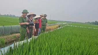 Hậu quả đau lòng từ việc dùng điện để bẫy, bắt, diệt chuột