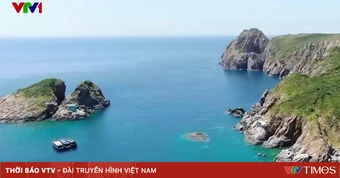 Hệ sinh thái san hô vịnh Nha Trang phục hồi ngoạn mục sau thời gian suy giảm nghiêm trọng