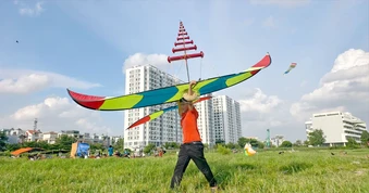 Hiểm họa từ diều sáo “khủng”
