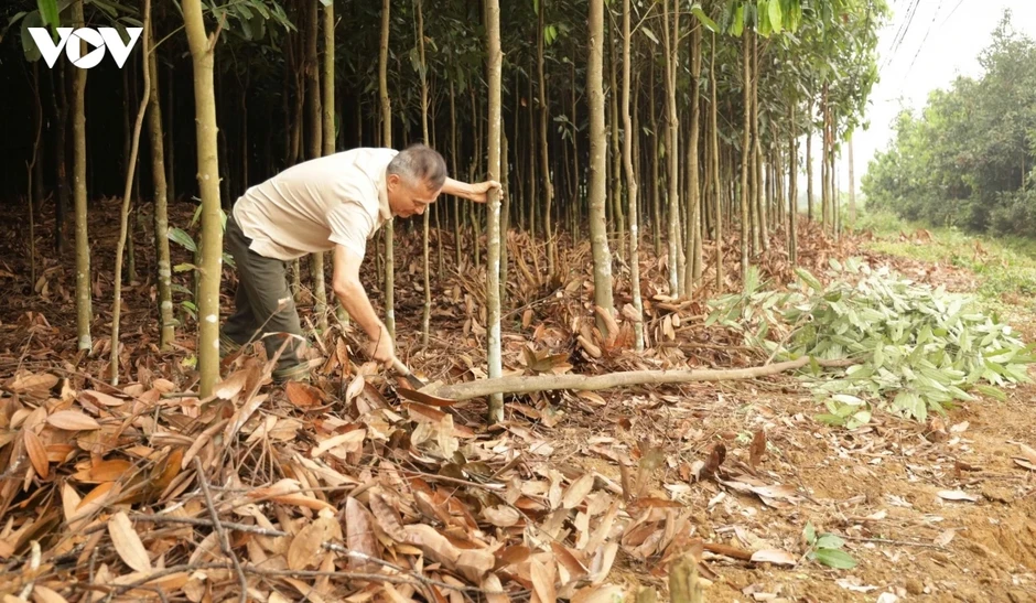 Hiến đất làm đường tại Lào Cai để xây dựng quê hương khang trang, hạnh phúc Hiến đất làm đường tại Lào Cai để xây dựng quê hương khang trang, hạnh phúc