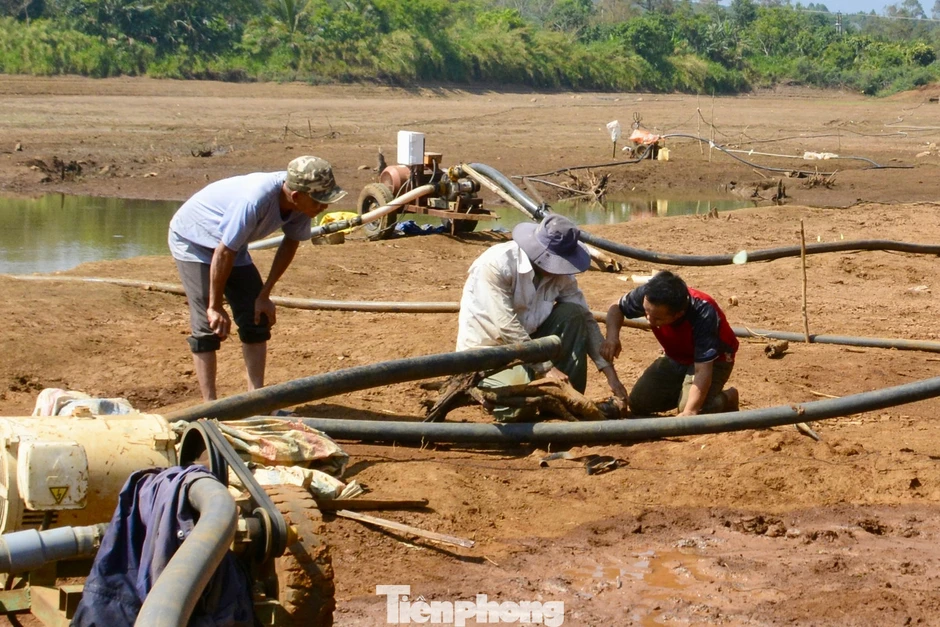 Hồ chứa cạn trơ đáy, hàng trăm ha cây trồng 'khát nước' Hồ chứa cạn trơ đáy, hàng trăm ha cây trồng 'khát nước'