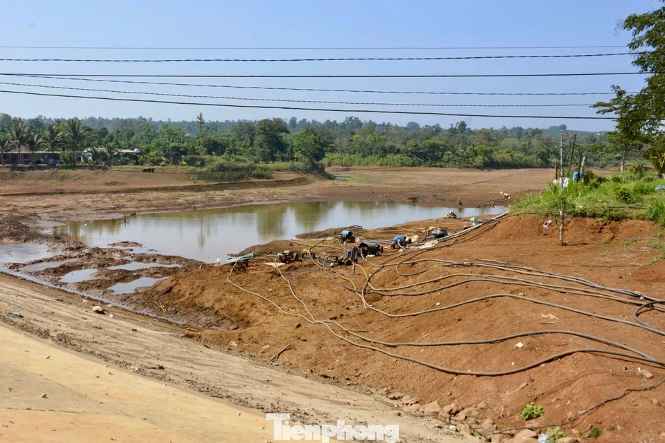 Hồ chứa cạn trơ đáy, hàng trăm ha cây trồng 'khát nước' Hồ chứa cạn trơ đáy, hàng trăm ha cây trồng 'khát nước'