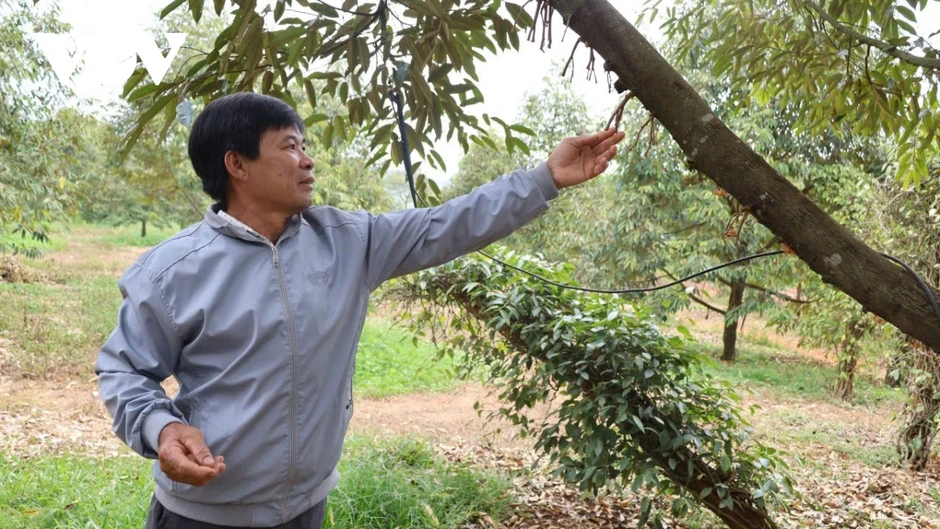 Hồ Đarana (Đồng Nai) xây xong 4 năm vẫn trơ đáy, dân đỏ mắt chờ nước tưới Hồ Đarana (Đồng Nai) xây xong 4 năm vẫn trơ đáy, dân đỏ mắt chờ nước tưới