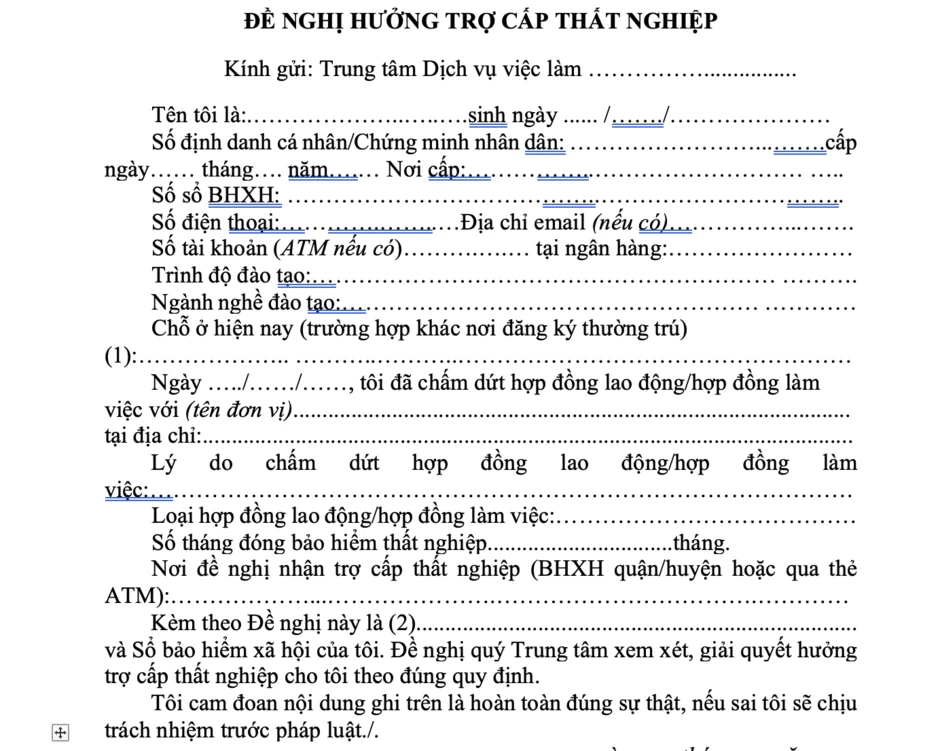 Hồ sơ hưởng trợ cấp thất nghiệp: Gồm những gì, nộp ở đâu? Hồ sơ hưởng trợ cấp thất nghiệp: Gồm những gì, nộp ở đâu?