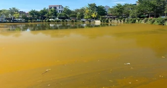 Hồ Trái Tim Huế xuất hiện màu nâu vàng bất thường