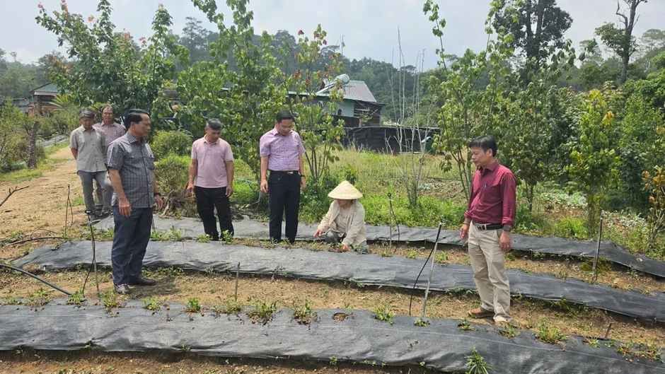Hỗ trợ người dân bị thiệt hại do dông lốc, mưa đá Hỗ trợ người dân bị thiệt hại do dông lốc, mưa đá