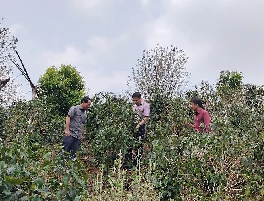 Hỗ trợ người dân bị thiệt hại do dông lốc, mưa đá Hỗ trợ người dân bị thiệt hại do dông lốc, mưa đá