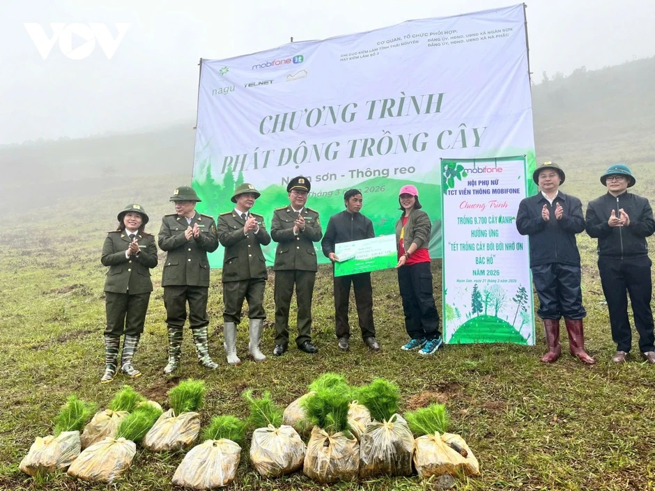 Hỗ trợ trồng rừng cho vùng đồng bào dân tộc thiểu số vùng cao Thái Nguyên Hỗ trợ trồng rừng cho vùng đồng bào dân tộc thiểu số vùng cao Thái Nguyên
