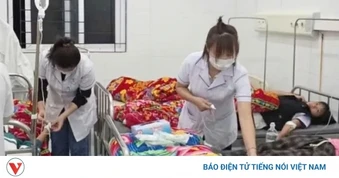 Học sinh nhập viện sau khi ăn quả lạ hái ven rừng, Bộ Y tế vào cuộc
