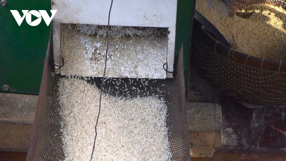 Hồi sinh máy chà gạo trên dòng sông quê Hồi sinh máy chà gạo trên dòng sông quê