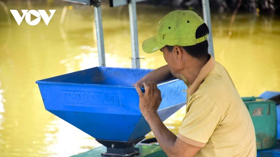 Hồi sinh máy chà gạo trên dòng sông quê Hồi sinh máy chà gạo trên dòng sông quê