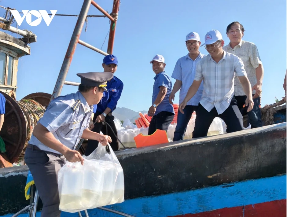 Hơn 1 triệu con giống các loại được thả tại Khu bảo tồn biển Hòn Cau Hơn 1 triệu con giống các loại được thả tại Khu bảo tồn biển Hòn Cau