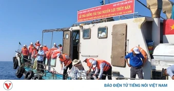 Hơn 1 triệu con giống các loại được thả tại Khu bảo tồn biển Hòn Cau