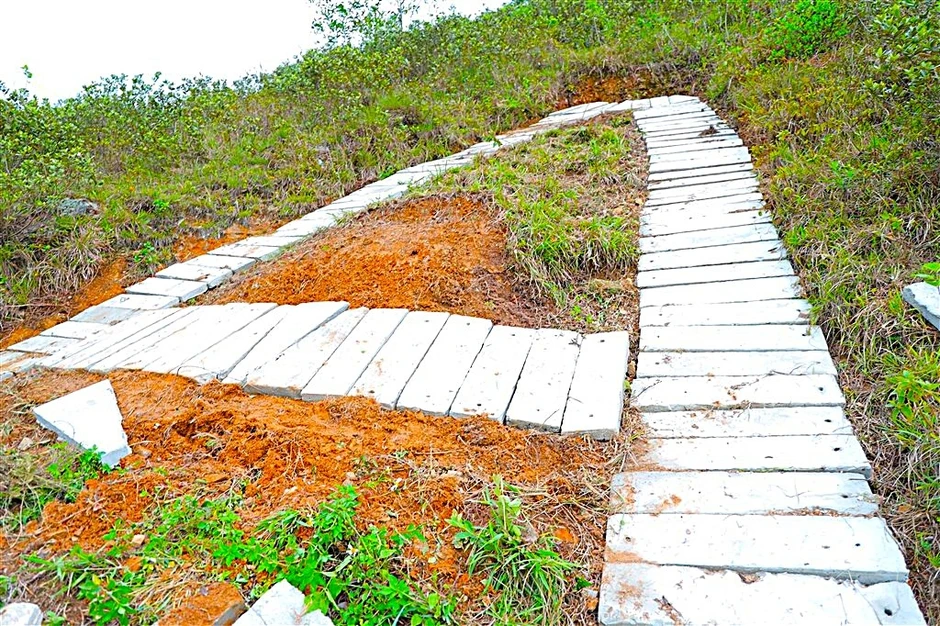 Hơn 1.000 người chung sức tái tạo dòng chữ “BÁC HỒ SỐNG MÃI” trên Núi Nhón Hơn 1.000 người chung sức tái tạo dòng chữ “BÁC HỒ SỐNG MÃI” trên Núi Nhón