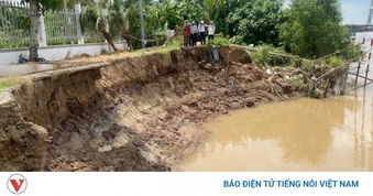 Hơn 200 hộ dân nơm nớp lo đê bao sạt lở trong mùa mưa ở Vĩnh Long
