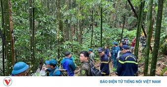 Hơn 300 cán bộ tìm kiếm người đàn ông mất tích 2 ngày khi đi rừng ở Tuyên Quang
