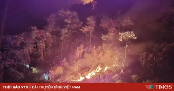 Hơn 300 người xuyên đêm dập tắt hỏa hoạn tại rừng phòng hộ Lai Châu